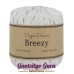 Dapper Dreamer Breezy Patriotic