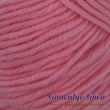 Dapper Dreamer Cottony Soft Carnation
