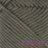 Dapper Dreamer Cottony Soft Dried Leaf