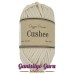 Dapper Dreamer Cushee Bone