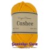 Dapper Dreamer Cushee Orange