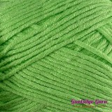 Dapper Dreamer Stardust Shamrock