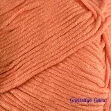 Dapper Dreamer Stardust Apricot