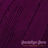 Dapper Dreamer Summer Beetroot