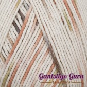 Dapper Dreamer Summer Granola