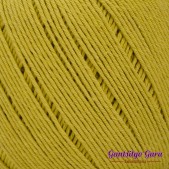 Dapper Dreamer Summer Cornmeal