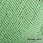 Dapper Dreamer Summer Parakeet