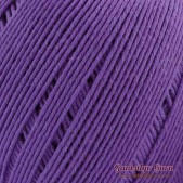 Dapper Dreamer Summer Grape