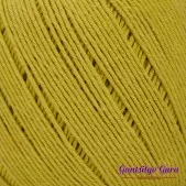 Dapper Dreamer Summer Cornmeal
