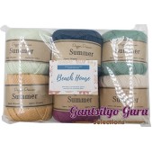 Dapper Dreamer Summer Color Palette Beach House