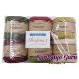 Dapper Dreamer Summer Color Palette Christmas 3