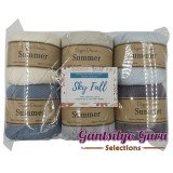 Dapper Dreamer Summer Color Palette Sky Fall