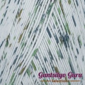 Dapper Dreamer Tropical Cactus