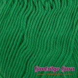 Gantsilyo Guru Baby Cashmere Acrylic Kelly Green