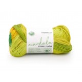 Lion Brand Mandala String Acoustic