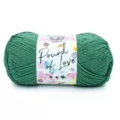 Lion Brand Pound of Love Fern 