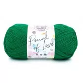 Lion Brand Pound of Love Wintergreen