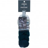 Caron x Pantone Blueberry