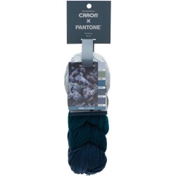 Caron x Pantone Blueberry