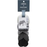 Caron x Pantone Elephant Gray