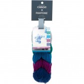 Caron x Pantone Frozen Berry