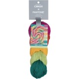 Caron x Pantone Lollypop Whirl