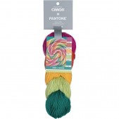 Caron x Pantone Lollypop Whirl