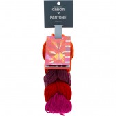 Caron x Pantone Spicy Blooms