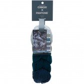 Caron x Pantone Blueberry