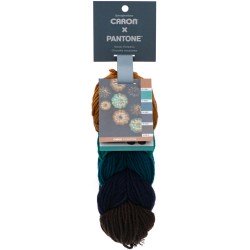 Caron x Pantone Moody Pumpkins