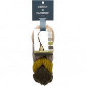 Caron x Pantone Olive Oil
