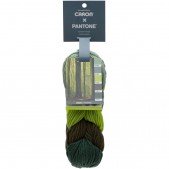 Caron x Pantone Summer Forest