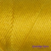 Caron Simply Soft Gold