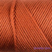 Caron Simply Soft Pumpkin