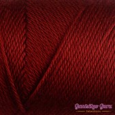 Caron Simply Soft Autumn Red Caron Simply Soft Autumn Red