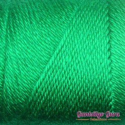 Caron Simply Soft Kelly Green