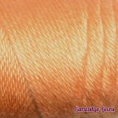 Caron Simply Soft Melon