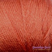 Caron Simply Soft Persimmon Caron Simply Soft Persimmon