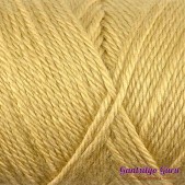 Caron Simply Soft Autumn Maize Caron Simply Soft Autumn Maize