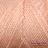 Caron Simply Soft Light Country Peach