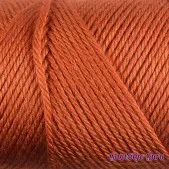 Caron Simply Soft Pumpkin