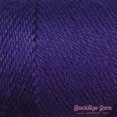 Caron Simply Soft Purple