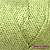 Caron Simply Soft Pistachio