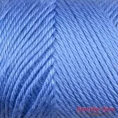 Caron Simply Soft Berry Blue