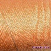 Caron Simply Soft Melon