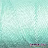 Caron Simply Soft Robin's Egg