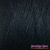 Caron Simply Soft Black