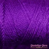 Caron Simply Soft Iris
