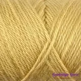 Caron Simply Soft Autumn Maize