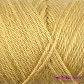 Caron Simply Soft Autumn Maize
